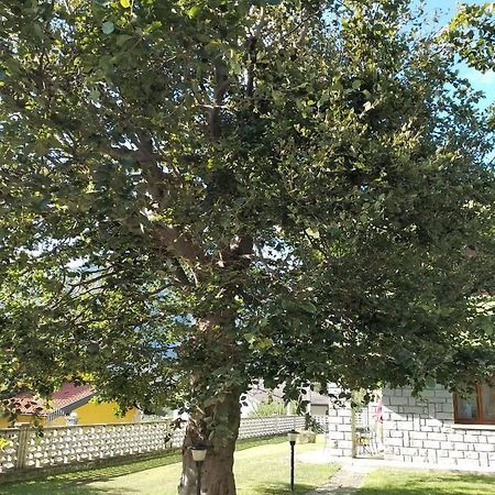 Il Faggio Bed & Breakfast Beura Екстериор снимка